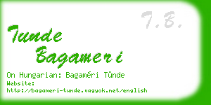 tunde bagameri business card