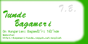 tunde bagameri business card